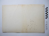 大冠鷲藏品圖，第2張