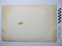 南田洋子藏品圖，第2張