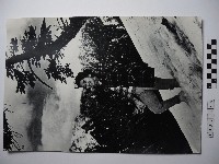 踏雪的女人藏品圖，第1張