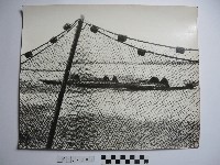 漁網藏品圖，第1張