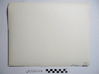 漁網藏品圖，第2張