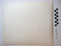 女子獨照藏品圖，第2張