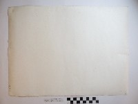 池塘裡的鵝藏品圖，第2張