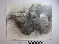 野柳風景藏品圖，第1張