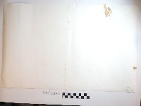 野柳風景藏品圖，第2張