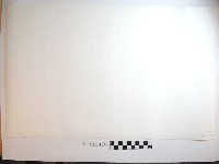 野柳風景藏品圖，第2張