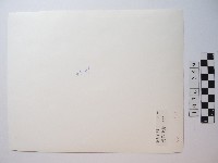 高山古情阿里山巨檜藏品圖，第2張