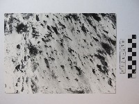 雪面坡地藏品圖，第1張