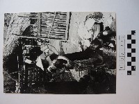 人物照片藏品圖，第1張