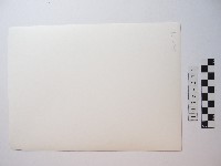 人物照片藏品圖，第2張