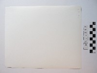 人物照片藏品圖，第2張