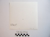 原住民黥面女長者藏品圖，第2張