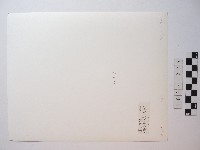 原住民黥面女長者藏品圖，第2張