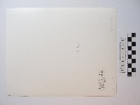 春晨的佳陽藏品圖，第2張