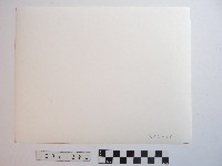 原住民黥面女長者藏品圖，第2張