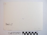 高山峻嶺與部落藏品圖，第2張