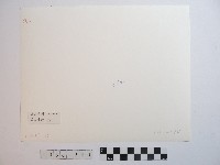 高山清境藏品圖，第2張