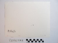 奇萊主峰與原始森林藏品圖，第2張