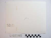 佳陽部落藏品圖，第2張