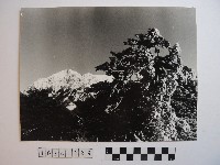 高山風情藏品圖，第1張