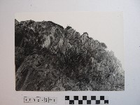 高山風情藏品圖，第1張