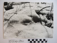 高山風情藏品圖，第1張
