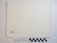 梯田的收割藏品圖，第2張