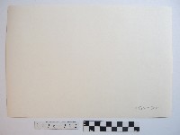 乘舟者藏品圖，第2張