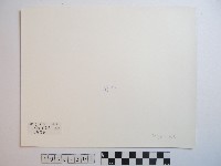 收割後的農莊藏品圖，第2張