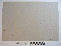 水面藏品圖，第2張