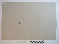 月夜銀波藏品圖，第2張