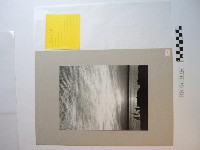 頑童的黃昏藏品圖，第1張