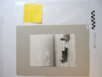 歸航藏品圖，第1張