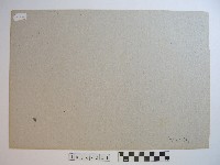 臺北橋藏品圖，第2張