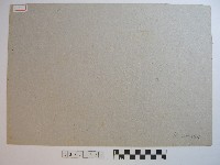 龍舟藏品圖，第2張