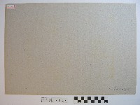 中興大橋初具規模藏品圖，第2張