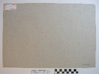 明治橋藏品圖，第2張