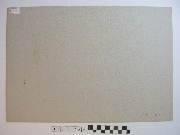 木材囤積場藏品圖，第2張