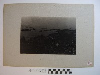 賽龍舟藏品圖，第1張