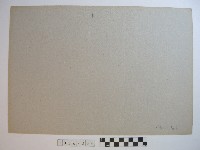 賽龍舟藏品圖，第2張