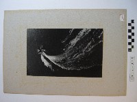 快艇衝浪藏品圖，第1張