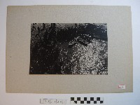 岸邊人潮與船隻藏品圖，第1張