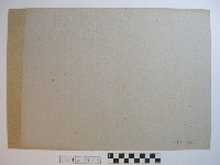 岸邊人潮與船隻藏品圖，第2張