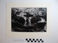 野柳風景藏品圖，第1張