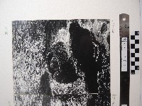 野柳風景藏品圖，第1張