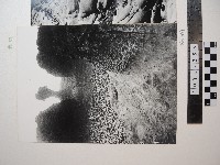 野柳風景藏品圖，第1張