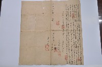 道光十一年悅娘等立典契字藏品圖，第1張