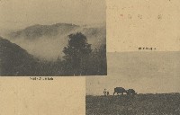 民國三十七年楊乞食彰化市政府換發書狀通知書藏品圖，第1張