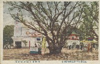 昭和十年始政四十週年記念臺灣博覽會明信片藏品圖，第1張