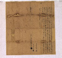 乾隆五十九年林氏立杜盡賣絕契藏品圖，第1張